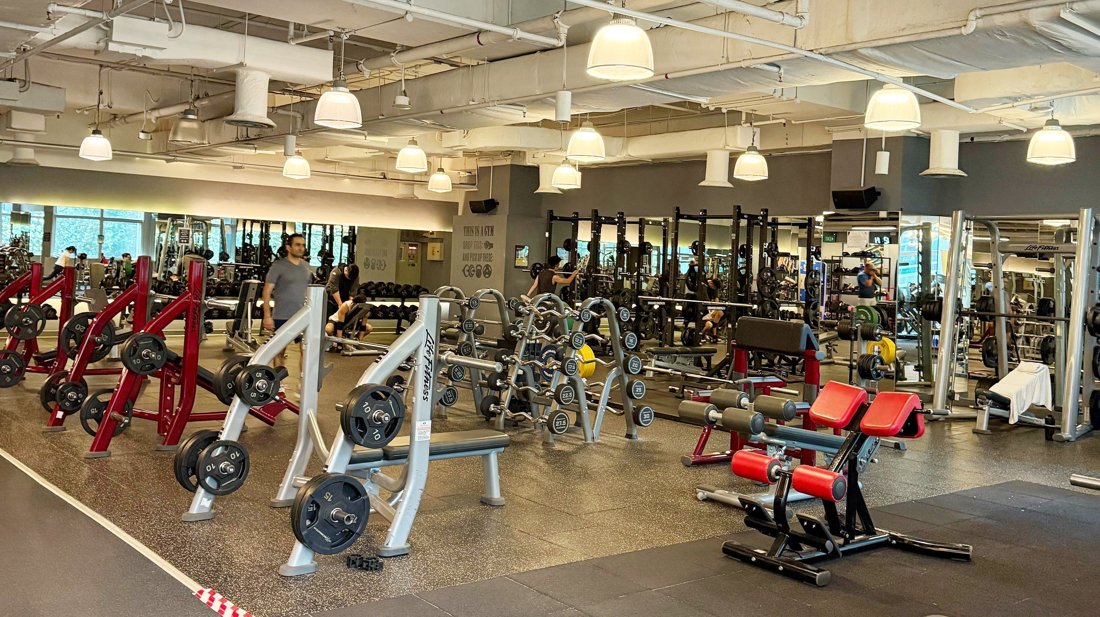 Review on True Fitness Velocity